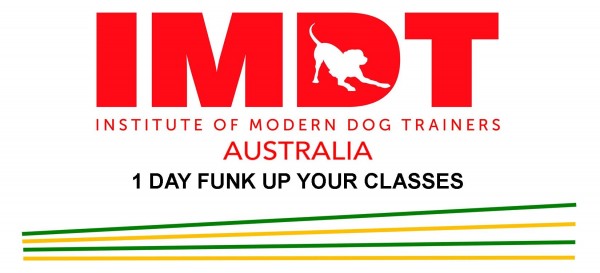 IMDT 1 DAY FUNK UP YOUR CLASSES