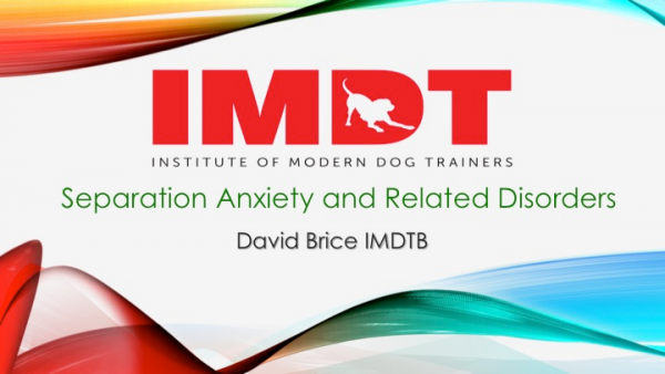 Webinar: Separation Distress/Anxiety and Related Disorders
