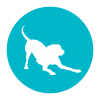 Canine Behaviour Consultant
