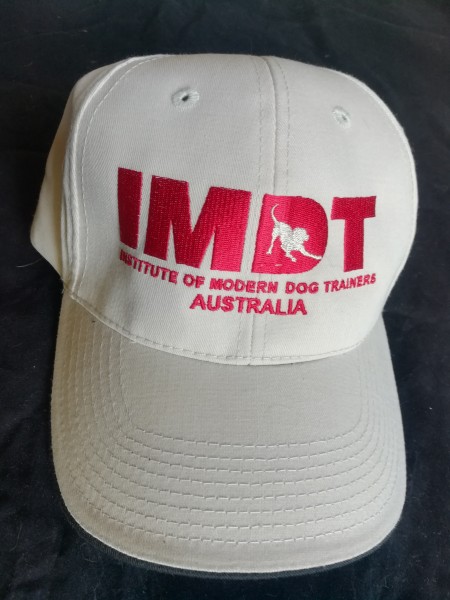 SHOP: IMDT Cap