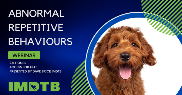 WEBINAR - Abnormal Repetitive Behaviours