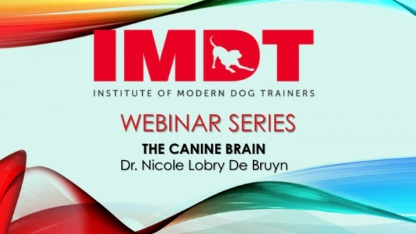 Webinar: The Canine Brain