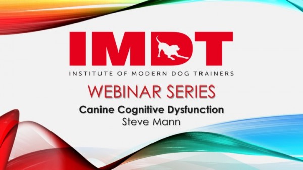 Webinar: Canine Cognitive Dysfunction