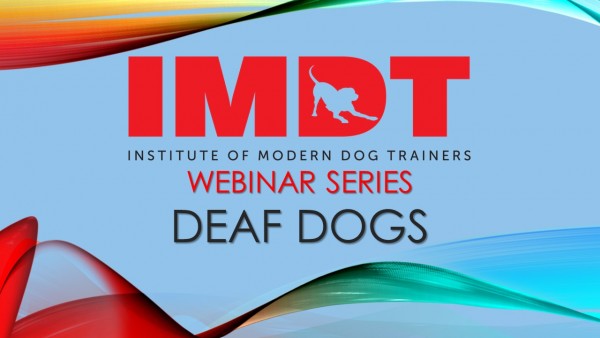 WEBINAR - Deaf Dogs