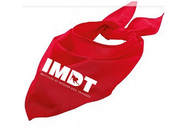 SHOP: IMDT DOGGY BANDANNA