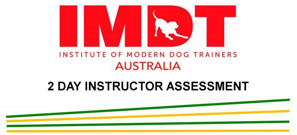 IMDT MEMBERSHIP ASSESSMENT