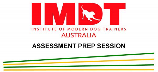IMDT ASSESSMENT PREP SESSION