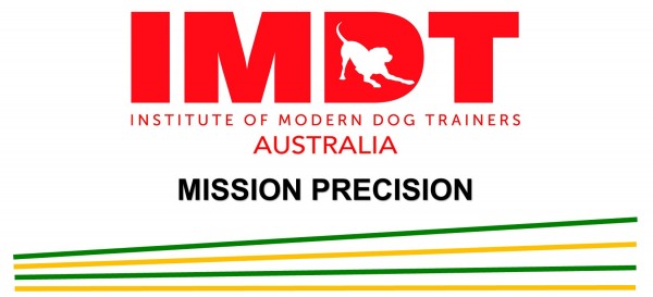 IMDT MISSION PRECISION