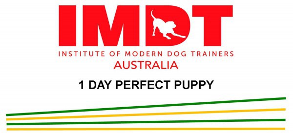 IMDT 1 DAY PERFECT PUPPY