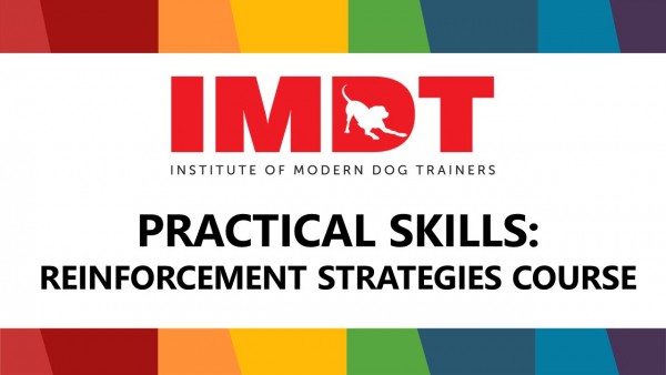 PRACTICAL SKILLS - REINFORCEMENT STRATEGIES