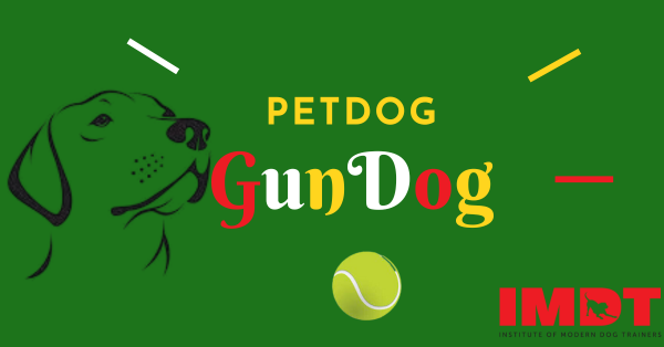 PET DOG GUNDOG