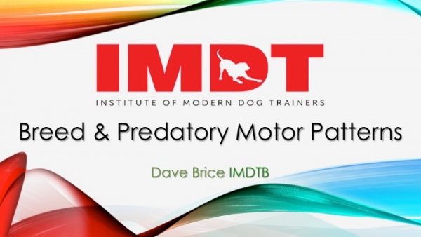 Webinar: Breed and Predatory Motor Patterns