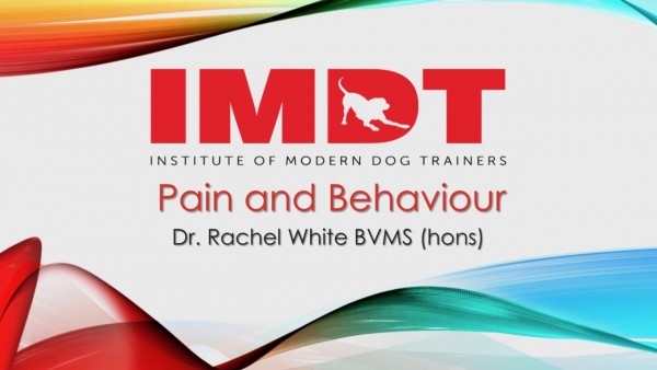 WEBINAR: Pain and Behaviour