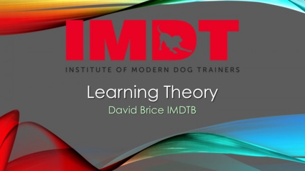 Webinar: Learning Theory